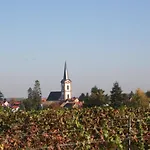 Spatzennest In *
