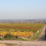 Spatzennest In Apartamento Edesheim