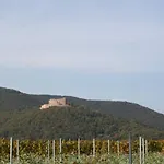 Spatzennest In Edesheim