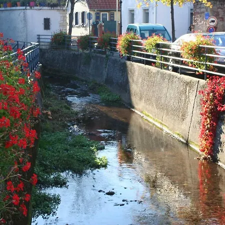 Lejlighed Spatzennest In *