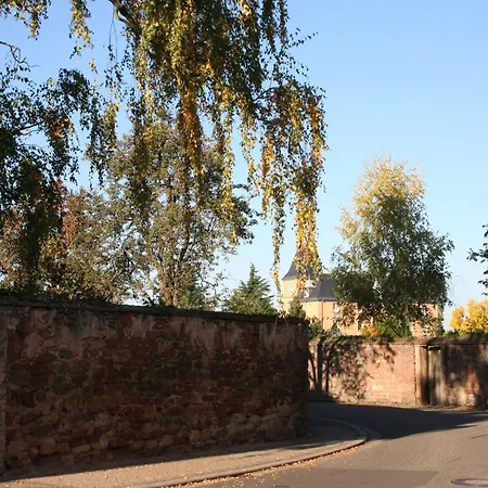 Spatzennest In Lejlighed Edesheim