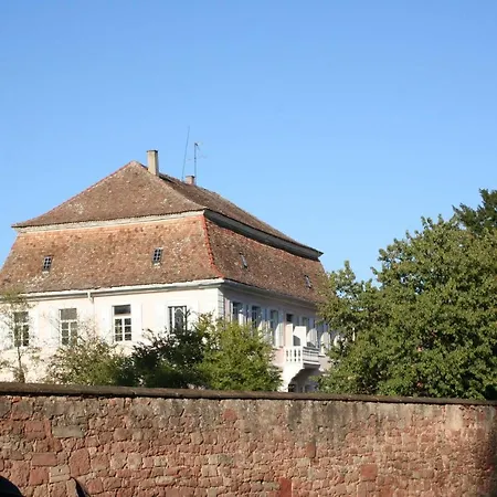 Spatzennest In * Edesheim