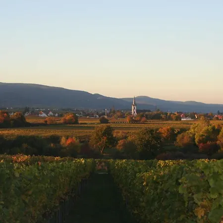 Spatzennest In Appartement *