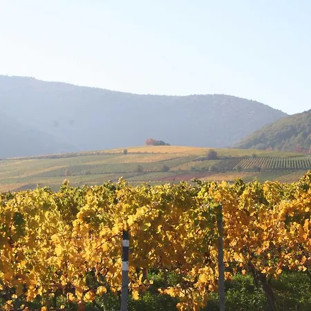 Apartment Spatzennest In Edesheim