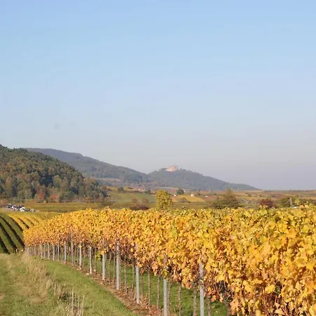 Appartement Spatzennest In