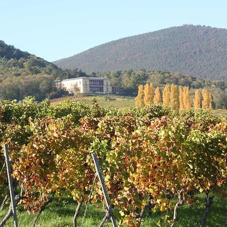 Spatzennest In Appartement *