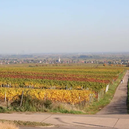 Spatzennest In Appartamento Edesheim