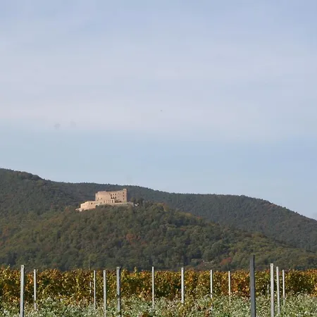 Spatzennest In Edesheim