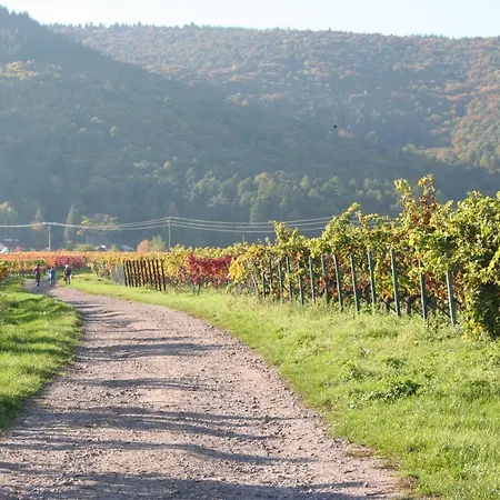 Spatzennest In Appartamento Edesheim