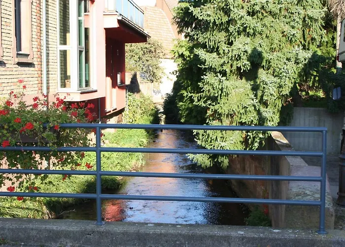 Spatzennest In Edesheim