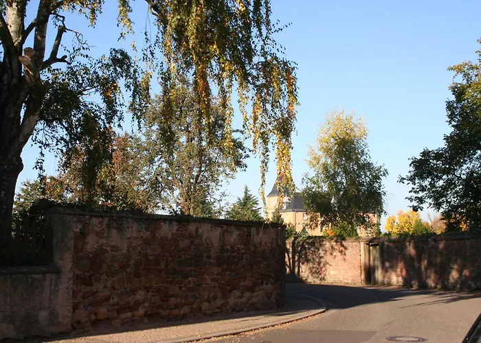 Spatzennest In Lejlighed Edesheim