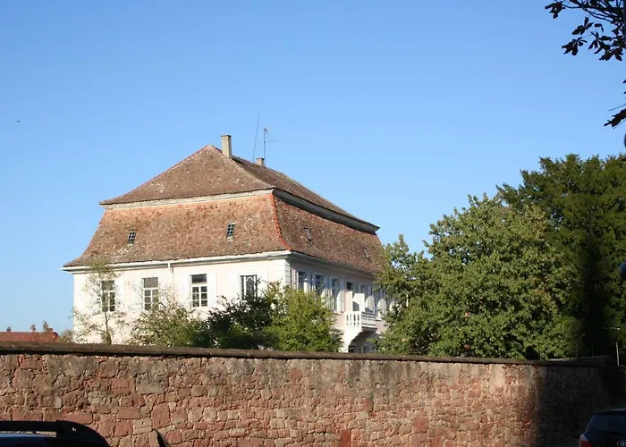 Spatzennest In * Edesheim