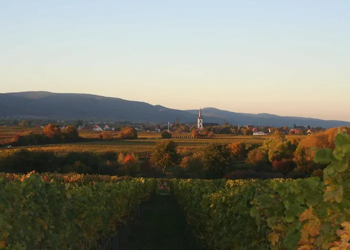 Spatzennest In Apartment *