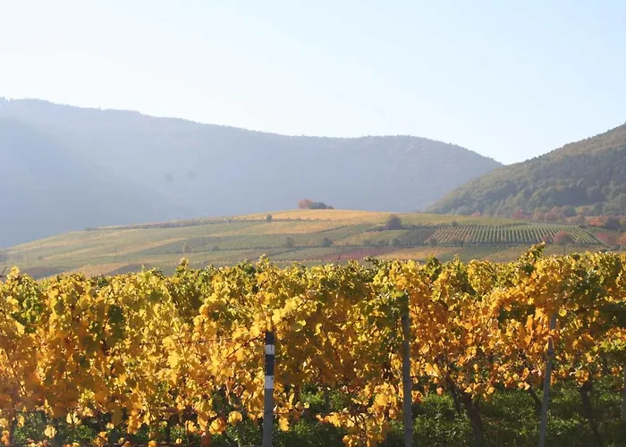 Apartamento Spatzennest In Edesheim