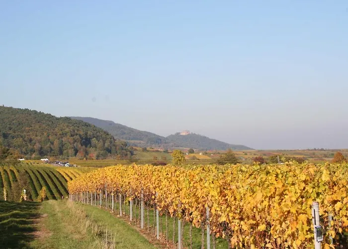 Lejlighed Spatzennest In