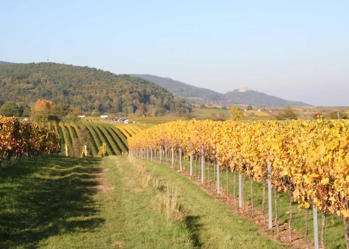 Lejlighed Spatzennest In