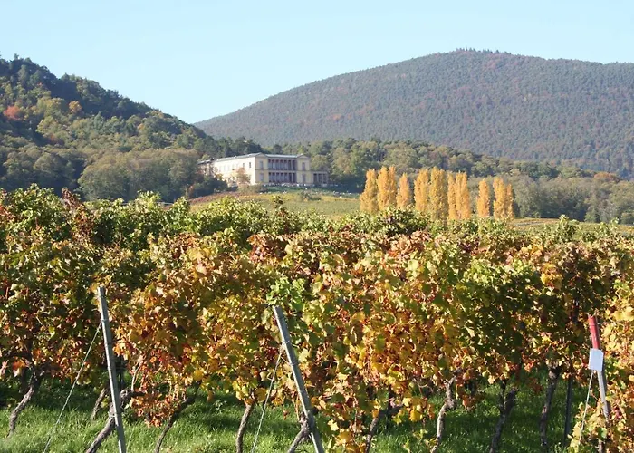 Spatzennest In Lejlighed *