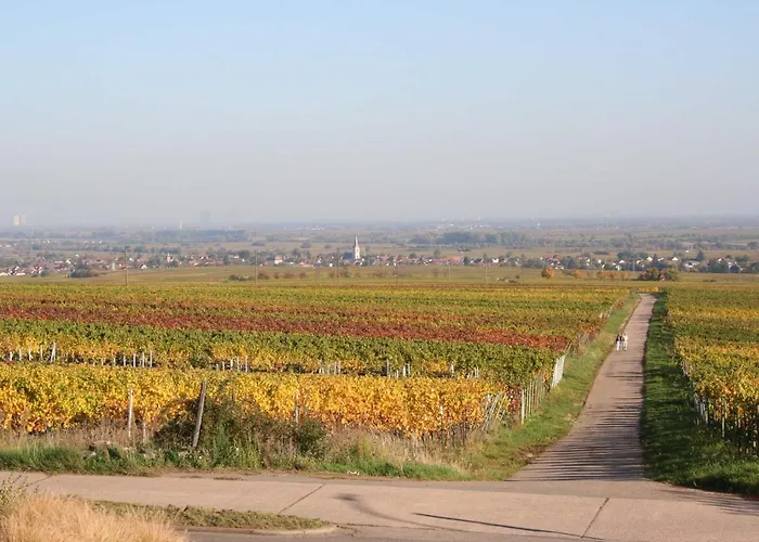 Spatzennest In Lejlighed Edesheim