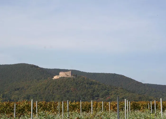 Spatzennest In Edesheim