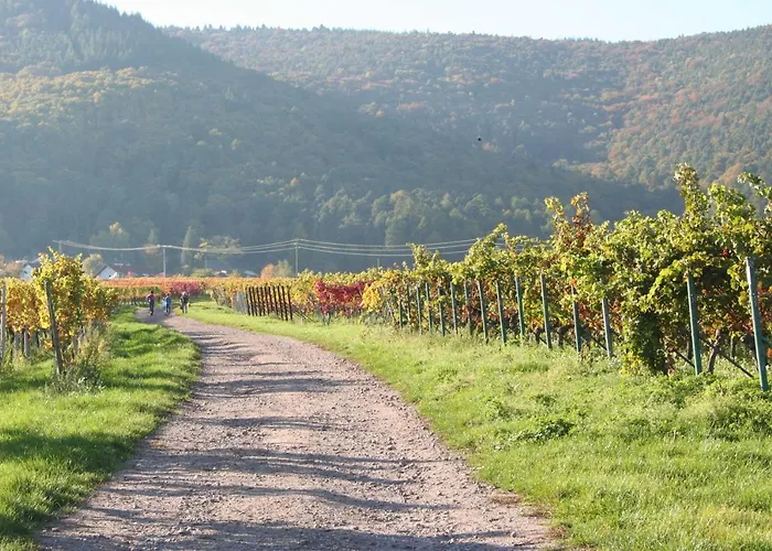 Spatzennest In Lejlighed Edesheim